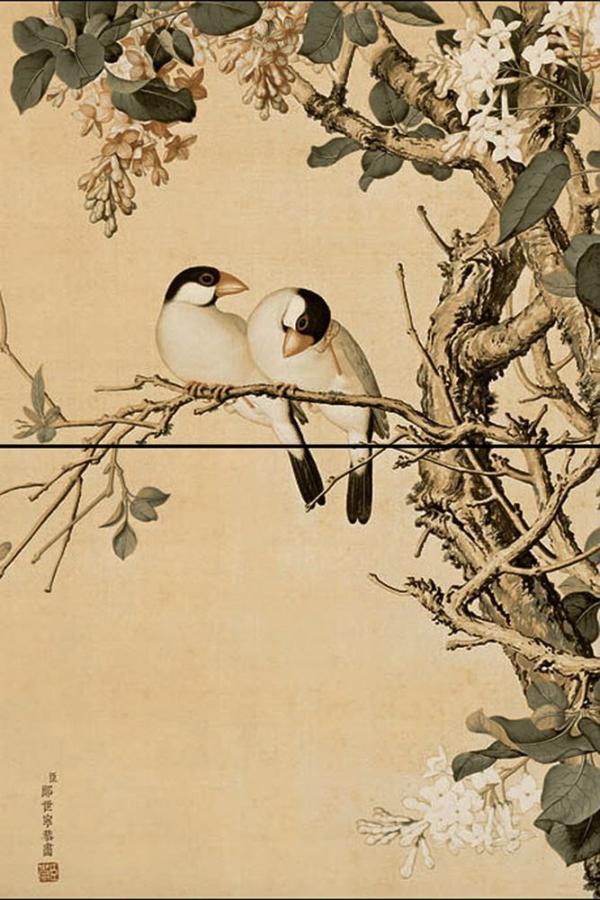 PC068WLPP2(800x1200)