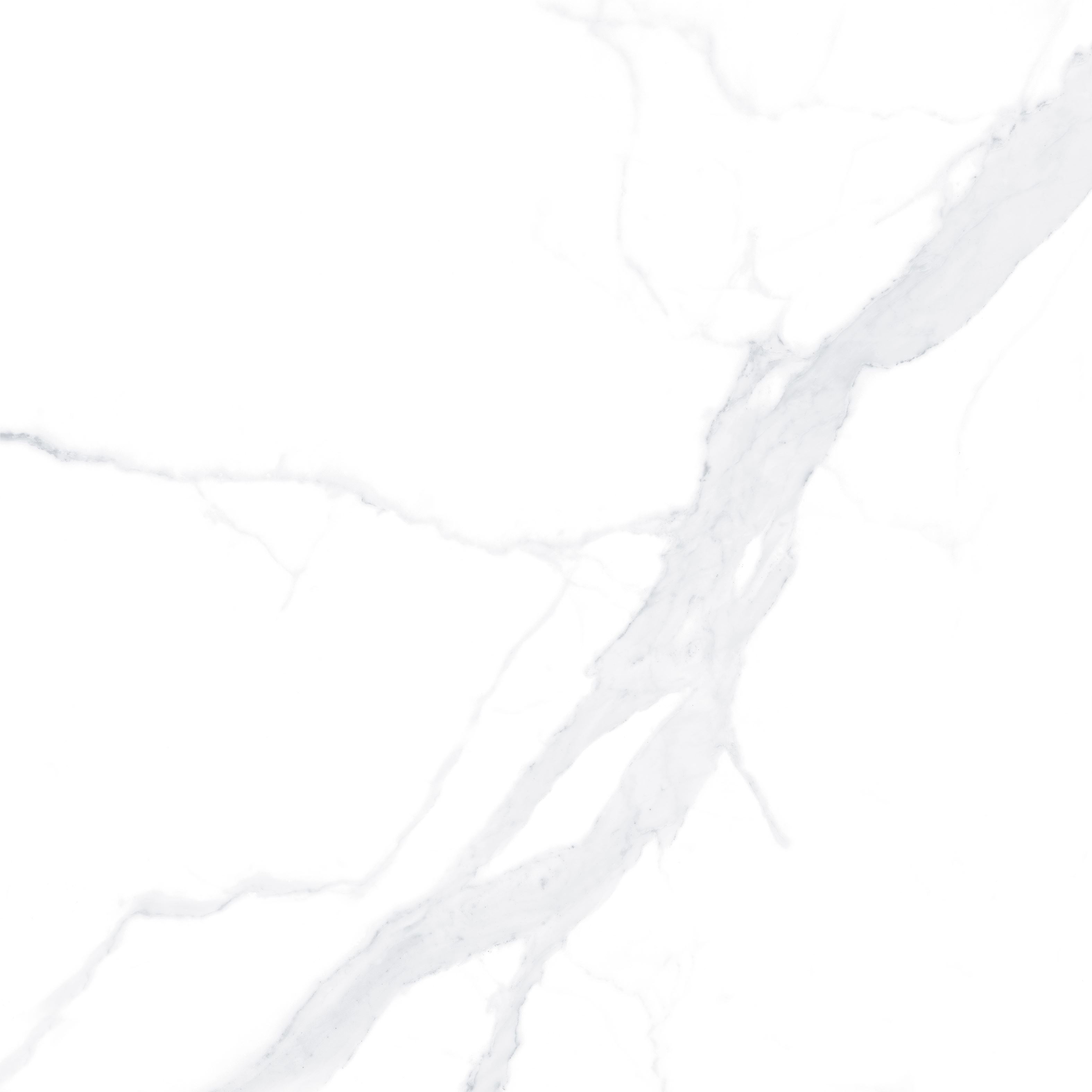 YZ0480KPP0 (西西里) ND8816-1 (1)