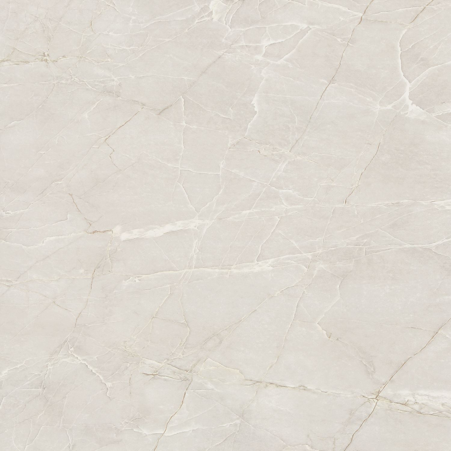 P1C58LKPPO (1)(800x800)(光面)